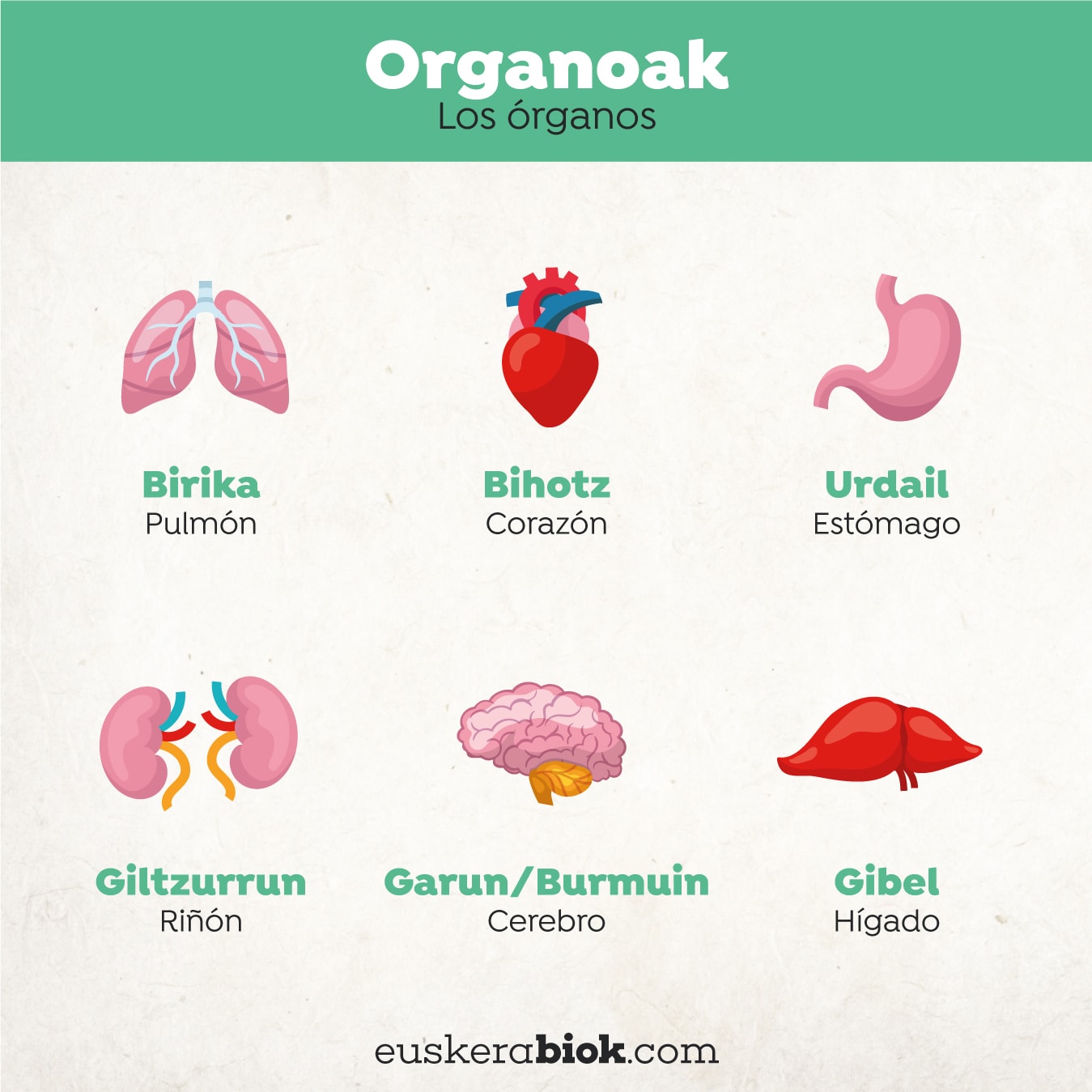 organos en euskera