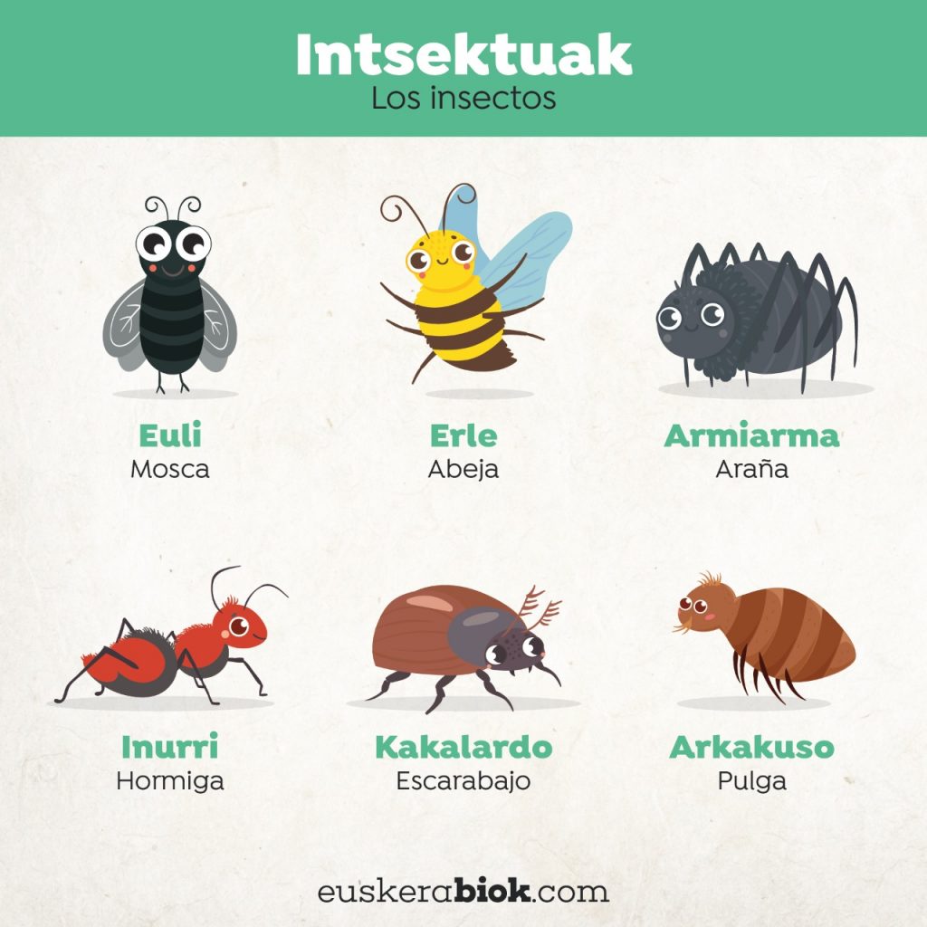 insectos en euskera