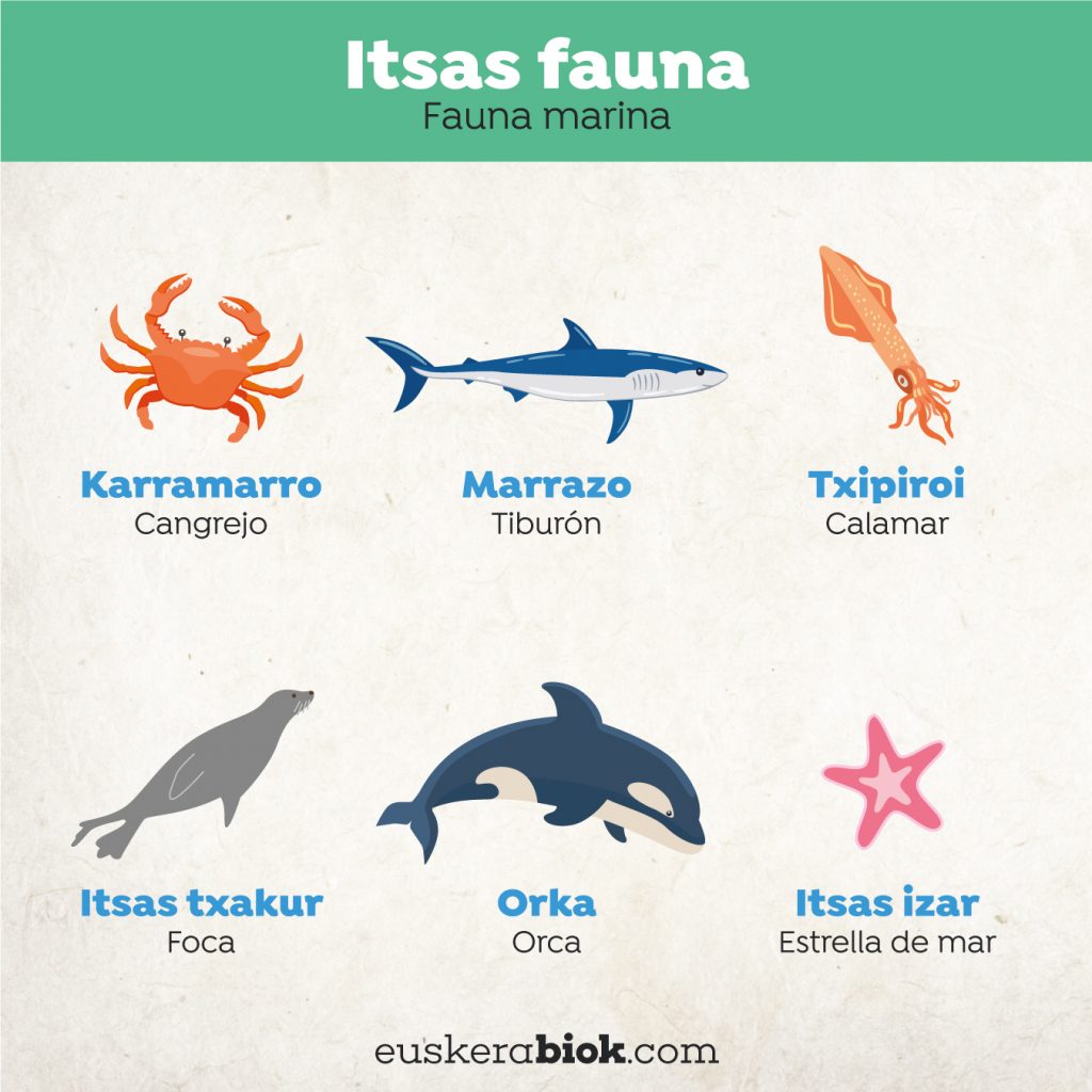 animales de mar en euskera