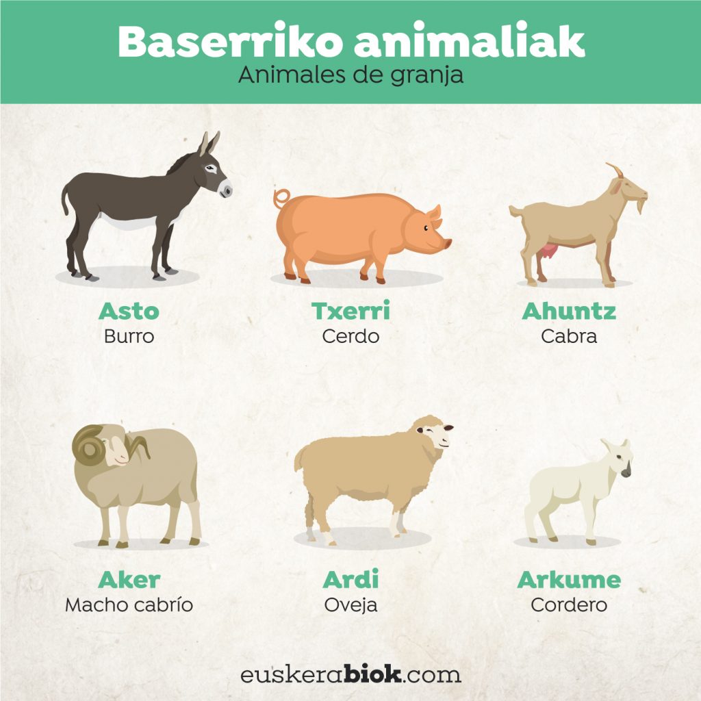 animales de granja en euskera-2