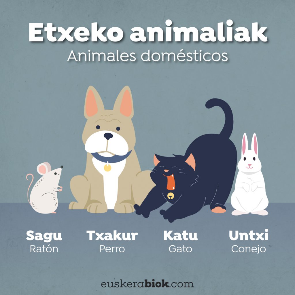 animales en euskera