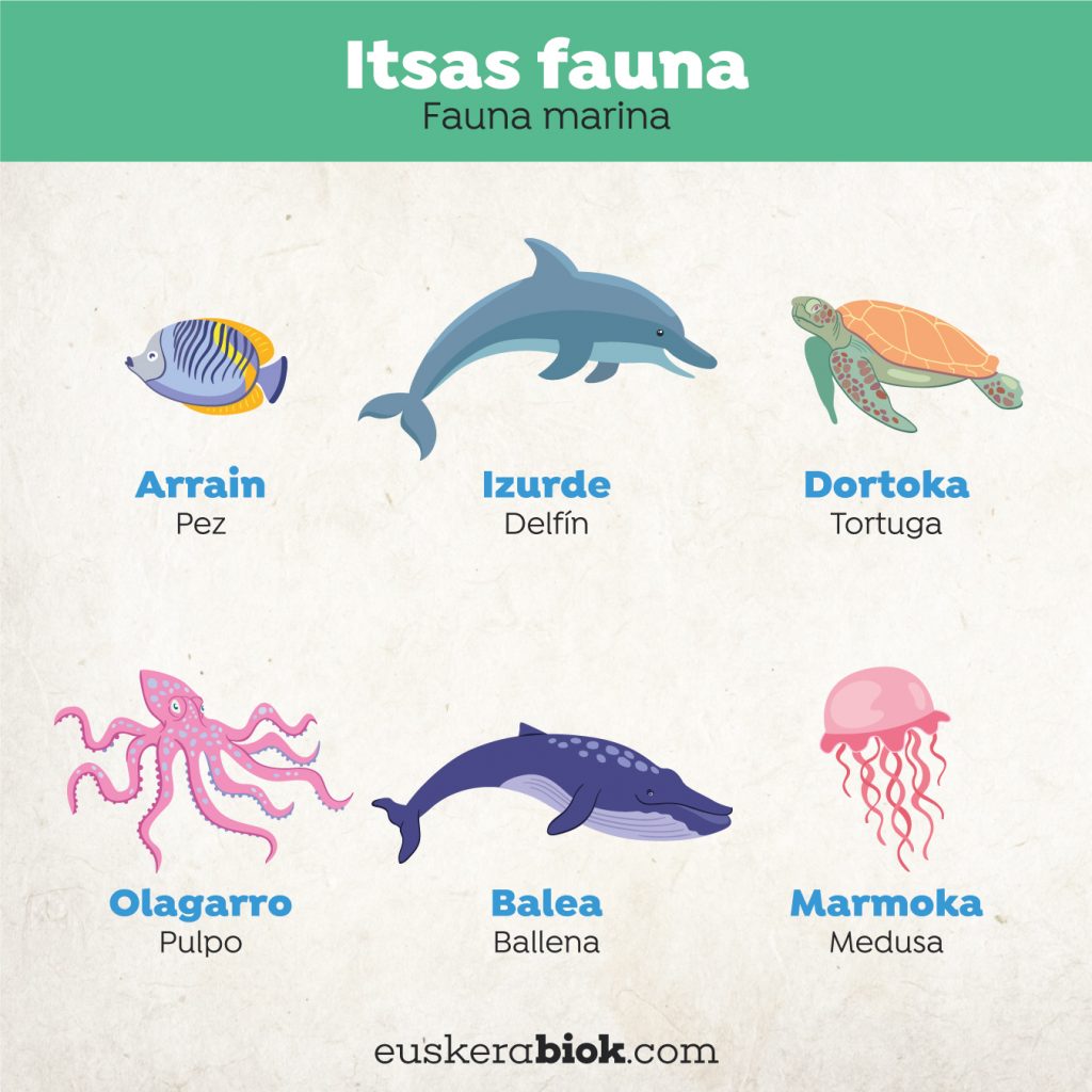 animales marinos en euskera